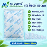 Gói chống ẩm Silica Gel 100Gram